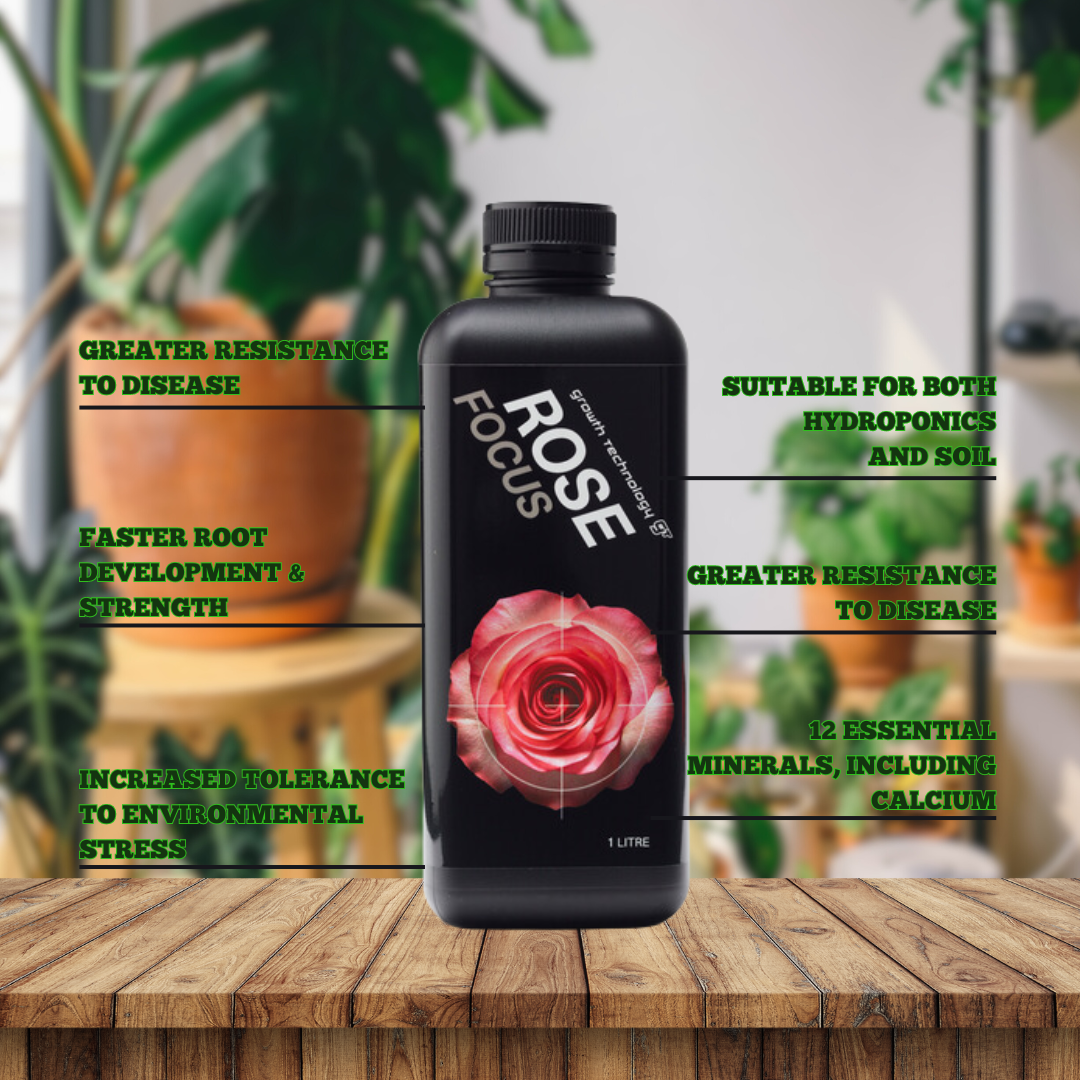 Growth Technology GT Rose Focus